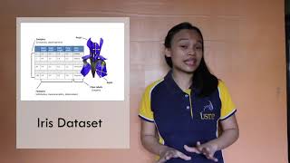 Machine Learning Python Implementation Using Iris Data Set