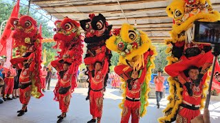 【鴻德醒獅傳藝坊-醒獅團】~113板橋接雲寺觀音佛祖佰年首巡祈福遶境