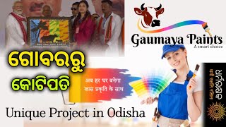 Eco-friendly cow dung Paint, Gaumaya Paints || Employment from Gaumata || Dharma Rakshak ଧର୍ମ ରକ୍ଷକ