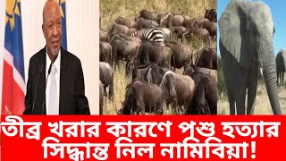 তীব্র খরার কারণে অসংখ্য বন্যপ্রাণী হত্যার সিদ্ধান্ত নিয়েছে নামিবিয়া সরকার!