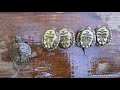 ouachita map turtle hatchling sounds