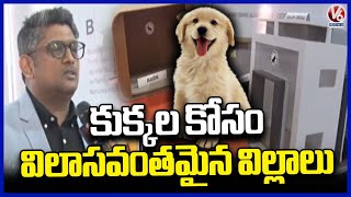 Barkitecture : India’s First Company That Builds Homes Dogs | V6 News