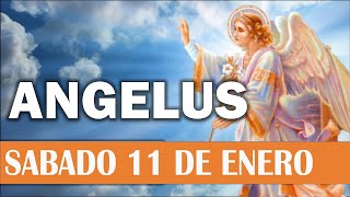 Ángelus del día de Hoy Sábado 11 de Enero 2025 😇🙏😇 Oraciones a la Virgen María 🌸Oraciones Católicas🌸