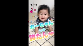 【生後6ヶ月】お座り練習中の赤ちゃんがかわいい♥【縦動画】