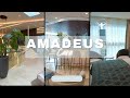 Amadeus - Cara