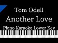 【Piano Karaoke Instrumental】Another Love / Tom Odell【Lower Key】