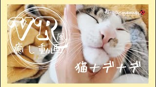 癒し100%!!まるで猫を撫でてるかのように感じれるエセVR動画！