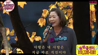 가수 박연희 사랑은 직진(대한예총,전국가수연합회,DCN방송센터)