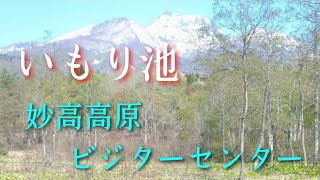 妙高市【いもり池 水芭蕉】新・妙高高原ビジターセンター編