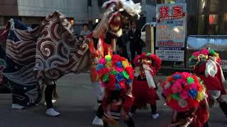 第43回 高岡獅子舞大競演会（桐木町①）