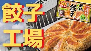 餃子ができるまで！工場製造工程動画（キャベツ・肉の加工、ミキシング編）