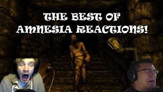 The BEST of: Amnesia - Reactions! (Funny)