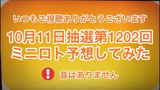 🆕最新‼️🆕10月11日抽選第1202回ミニロト予想してみた