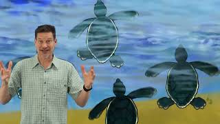 Bite-Size Science Virtual Program