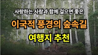 아내와 함께 걷는 영양 자작나무숲길, 감성 힐링 여행 추천 🍂