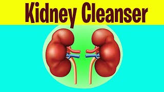 7 Natural Kidney Detox Herbs To Cleanse Kidney At Home | Natural Kidney Cleanser