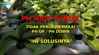 Tips menjaga PH Air nutrisi hidroponik agar tidak turun naik cukup dengan jaga suhu air nutrisi