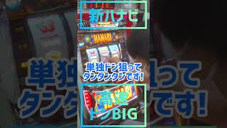 【新ハナビ】超高速ドンBIG揃いをやってく！ #shorts #スロット #新ハナビ #ハナビ