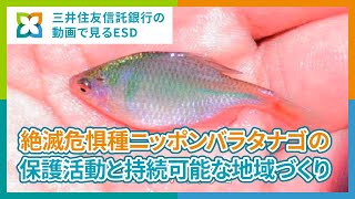 八尾の絶滅危惧種！ニッポンバラタナゴの環境保全授業【三井住友信託銀行】