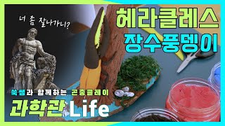 [과학관 Life] 어디까지 해봤니? 헤라클레스 장수 풍뎅이