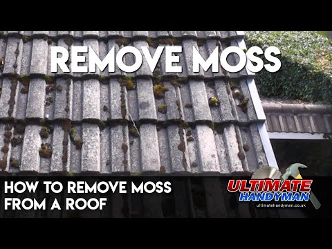 How to remove moss from a roof How to remove moss from a roof