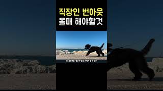 40대 직장인이 번아웃이 올 때 해야할 것