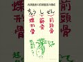 内頭蓋底の前頭蓋窩の構成の語呂合わせ～20秒で国試対策～