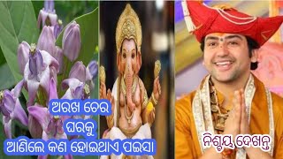 ଶ୍ରାବଣ ମାସରେ ଘରକୁ ନେଇ ଆସନ୍ତୁ ଏହି ଚମତ୍କାର ଗଛ,୨୪ ଘଣ୍ଟାରେ ଧନରବର୍ଷା ହେବ, Arakha Tree Benefits#Sawan2023