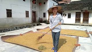 农村大哥在祖屋门口晒稻谷，农村常见的场景，是多少人儿时的记忆