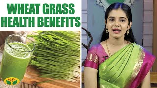 Wheat Grass Benefits | Health Tips | Nutrition Diary | Jaya TV Adupangarai