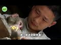 男人救下瀕死獼猴，治好後竟不願離開，為尋恩人狂奔30公里，背後真相令人淚目... 自然觀察員