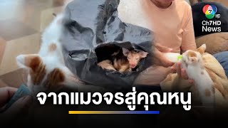 พาดูชีวิตใหม่ของ \