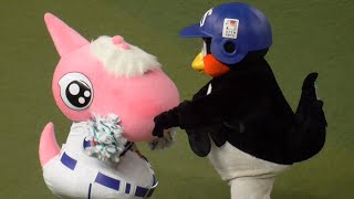 これはあかん！つば九郎がパオロンの鼻の穴に指を突っ込む　中日ドラゴンズVS東京ヤクルトスワローズ　2023.8.5