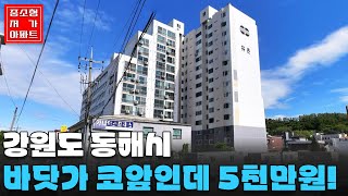 바닷가 코앞! 5천만원! 오션뷰! 강원도 #동해시 가장 싼 아파트 #중소형평 #20~30평 #저가아파트 #내집마련