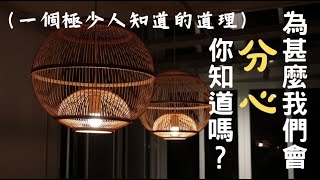 33-作意-五遍行心所 | 圓通寺 道源法師 禪修開示 第三十三堂 20230910