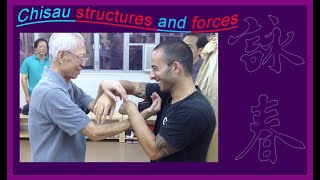 Chisau structures and forces - CST Wing Chun