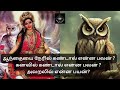 ஆந்தையை நேரில் கண்டால் என்ன பலன் கனவில் கண்டால் என்ன பலன் அலறலில் என்ன பயன்