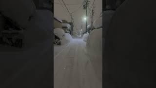 豪雪青森市2025.1.4 住宅街　でもこれでもいい方です😭#豪雪 #青森