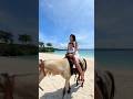 Riding a Horse at the Beach #mom #baby