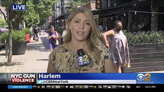 Harlem Business, Community Leaders Want More Done To Stop Crime