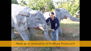 loi xin loi cam dong nhat