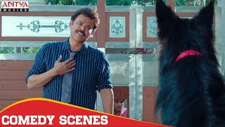 Venkatesh Hilarious Comedy Scene | F2 Hindi Dubbed Movie | Varun Tej, Tamannah, Mehreen