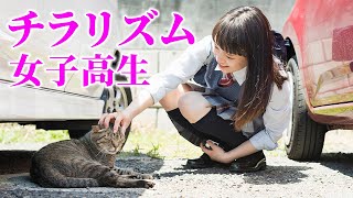 【感動する話】※萌え体験談※まぶしくてイカンJKと猫達の話