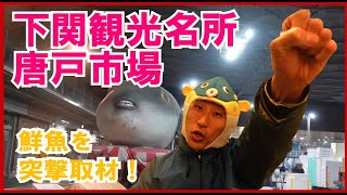 【ＶＬＯＧ♪】唐戸市場に行って鮮魚を取材♪（山口県下関市）