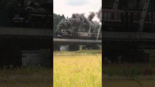 【4K縦動画】C57-180　SLばんえつ物語　深戸橋梁爆煙通過！JR East Railway Steam locomotive class C57 'Banetsu Monogatari'