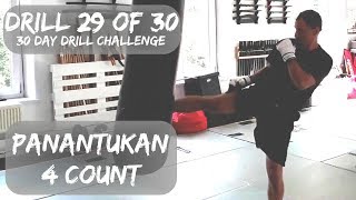 Drill 29 of 30 | Panantukan 4 count