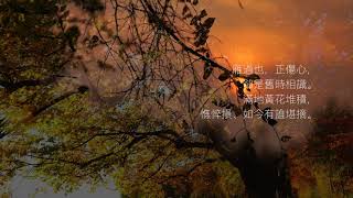 58.《聲聲慢》宋。李清照（繁體）Ancient Poetry  孩童必學詩詞一百首 （尋尋覓覓、冷冷清清，淒淒慘慘戚戚。）