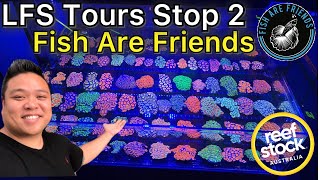 Reefstock Australia LFS Tours Stop 2 - Fish Are Friends