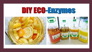 Making ECO-Enzymes at Home