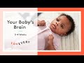 Learn About Your Baby's Brain at 0-4 Weeks | Lovevery